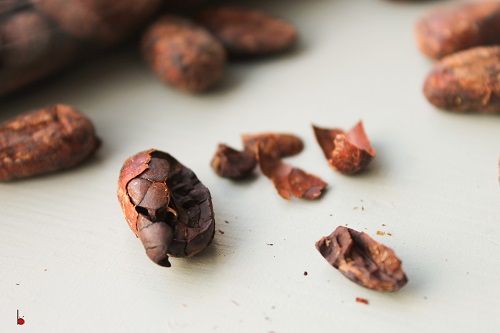cocoa nib